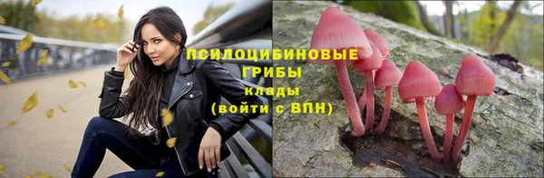 кокаин VHQ Новодвинск