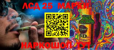 спиды Аргун