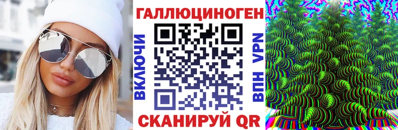 Галлюциногенные грибы Psilocybine cubensis  Асбест 