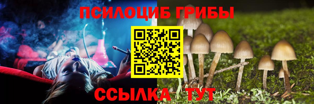 Галлюциногенные грибы GOLDEN TEACHER Асбест